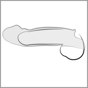 Penis Sleeve with extension and ball ring (23 cm)